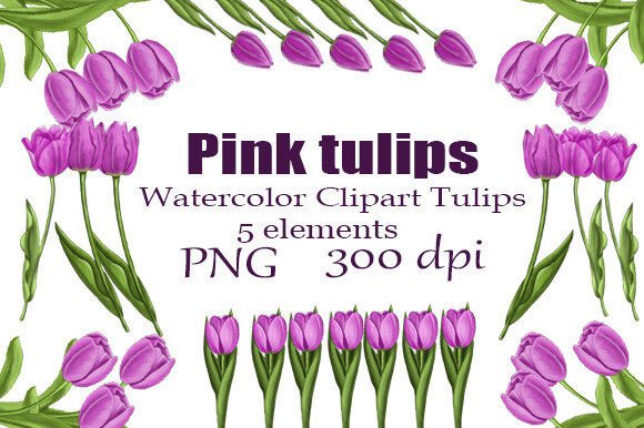 Download Watercolor Clipart Pink Tulips PNG - Watercolor Collection