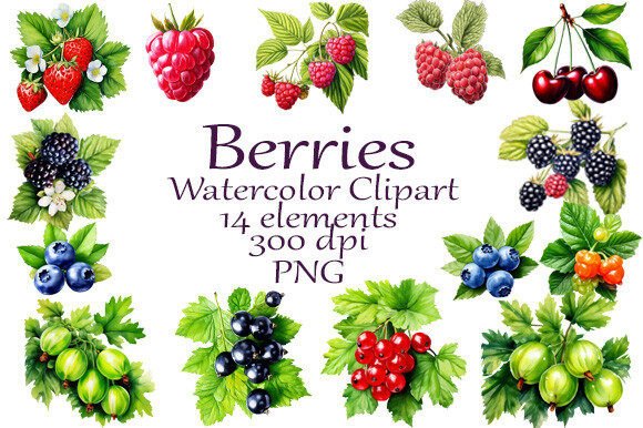 Download Watercolor Clipart Summer Berries - Watercolor Collection